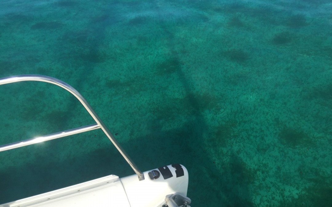 A Day on the Reef-Abaco Reef Video
