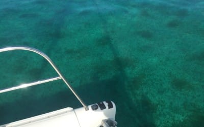 A Day on the Reef-Abaco Reef Video