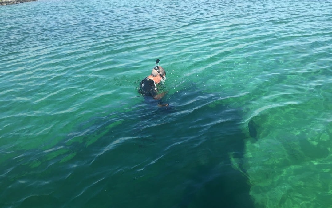 diving-in-a-blue-hole-ocean-cave-snake-cay-cave-dive