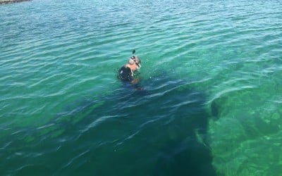 Deep Diving IN Shallow Water