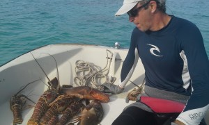 Bahama Lobsters