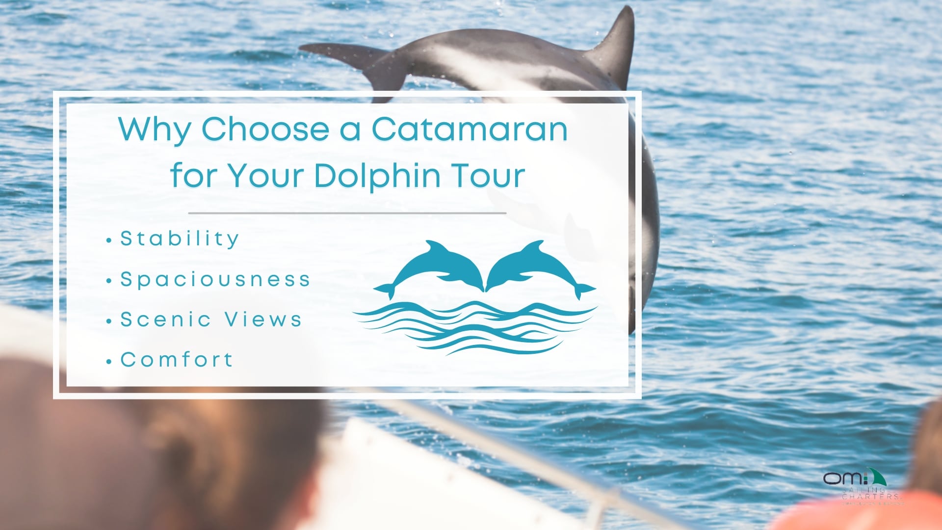 Infographic image of why choose a catamaran for your dolphin tour