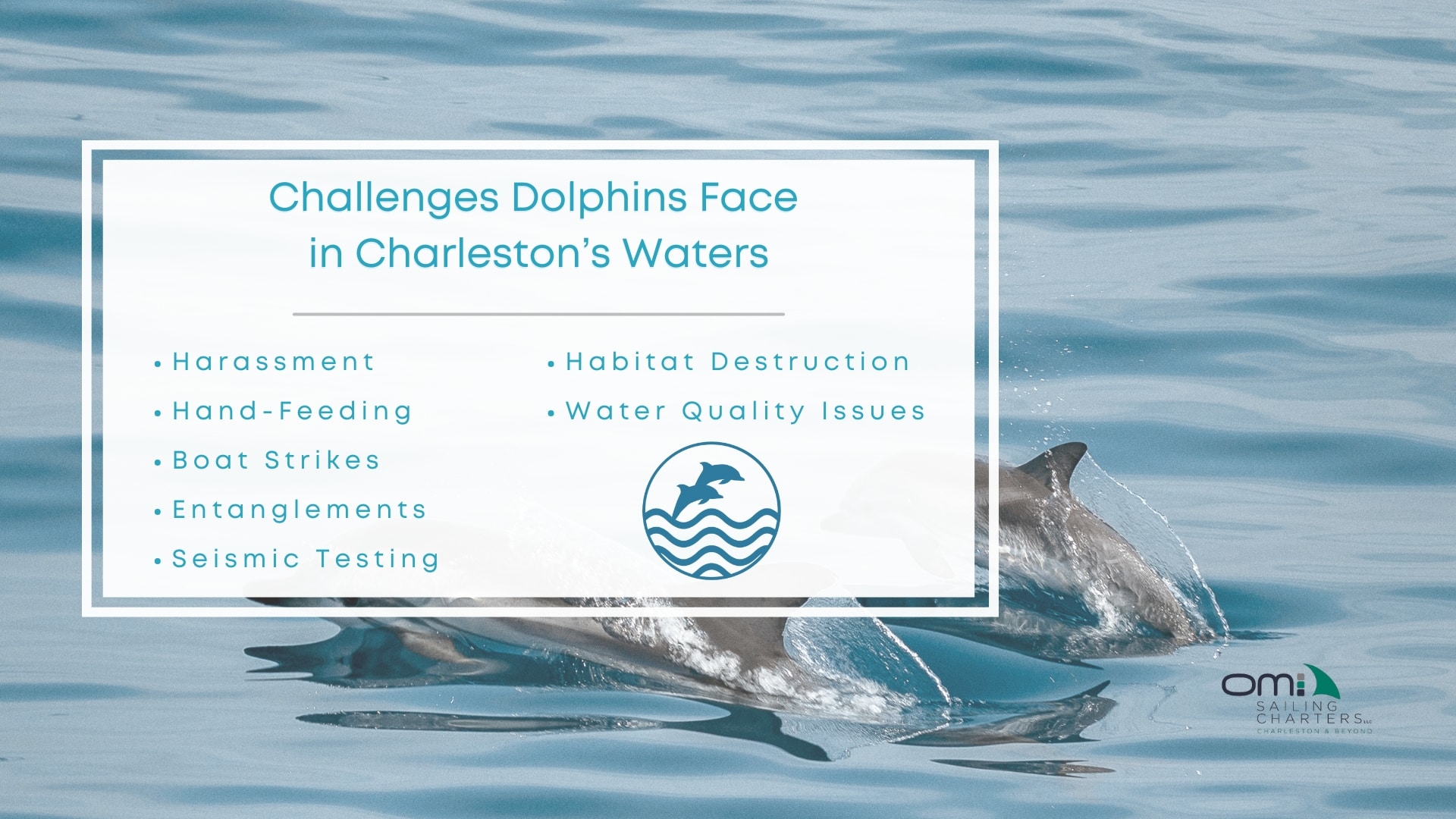 Infographic image of challenges dolphins face in Charleston's waters